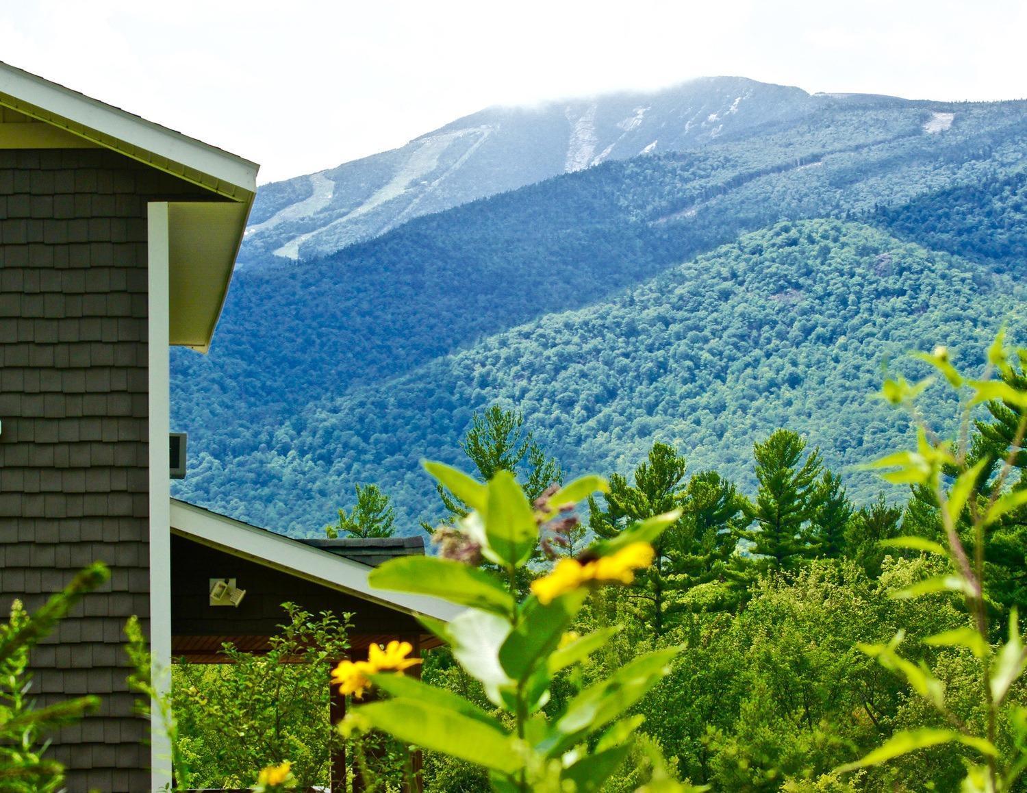 Lookout Mountain Chalet Villa Wilmington Dış mekan fotoğraf